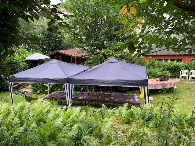 Hotel Sonnenhof Bad Wildbad Exterior foto